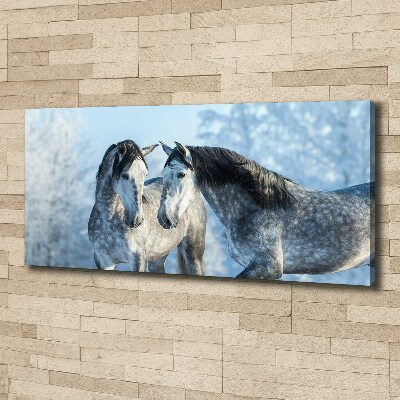 Tableau mural sur toile Chevaux gris en hiver