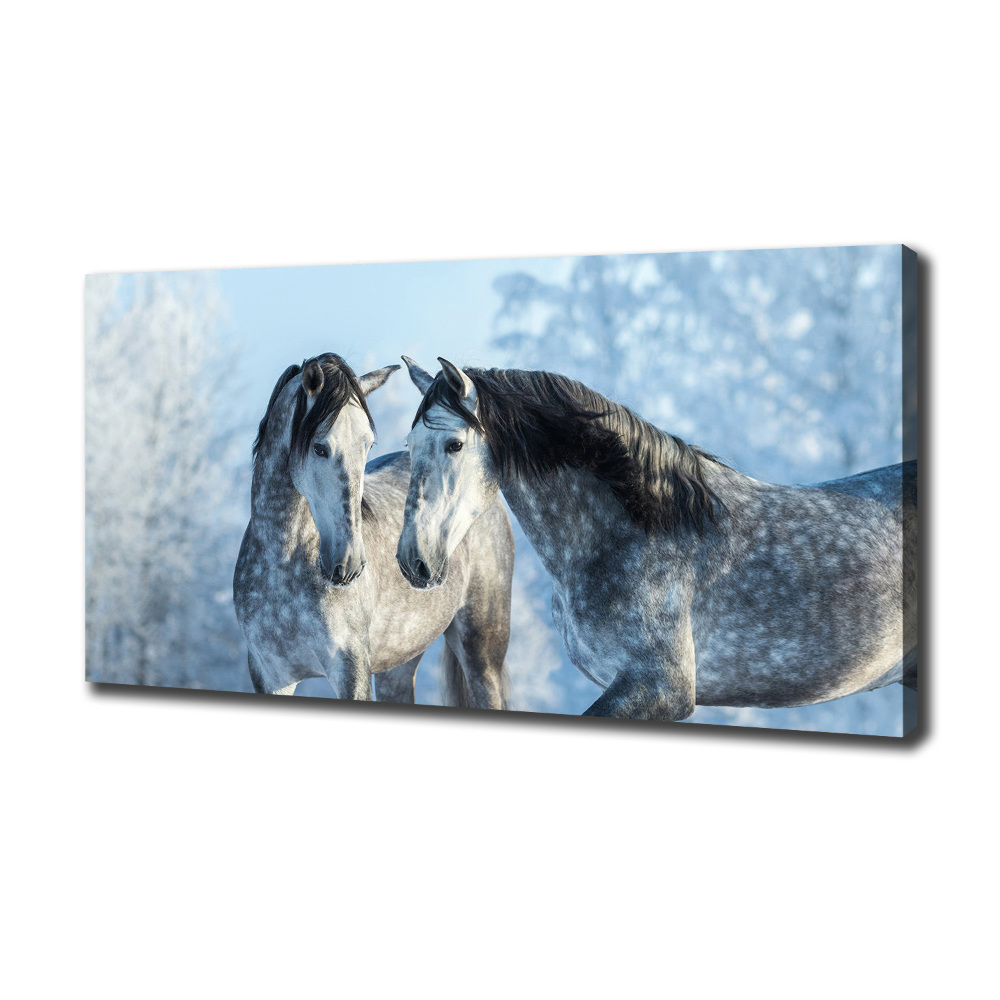 Tableau mural sur toile Chevaux gris en hiver