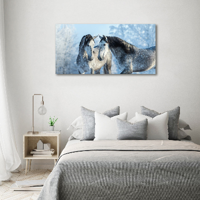 Tableau mural sur toile Chevaux gris en hiver