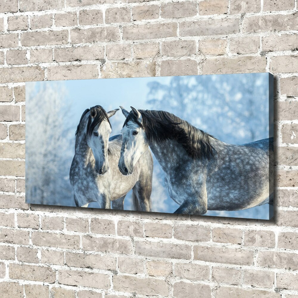 Tableau mural sur toile Chevaux gris en hiver