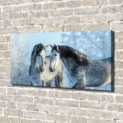 Tableau mural sur toile Chevaux gris en hiver