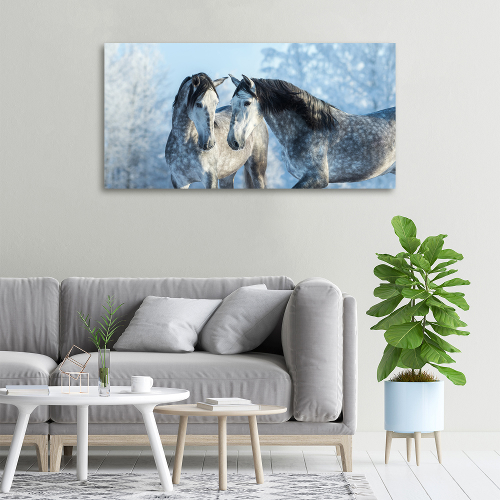 Tableau mural sur toile Chevaux gris en hiver