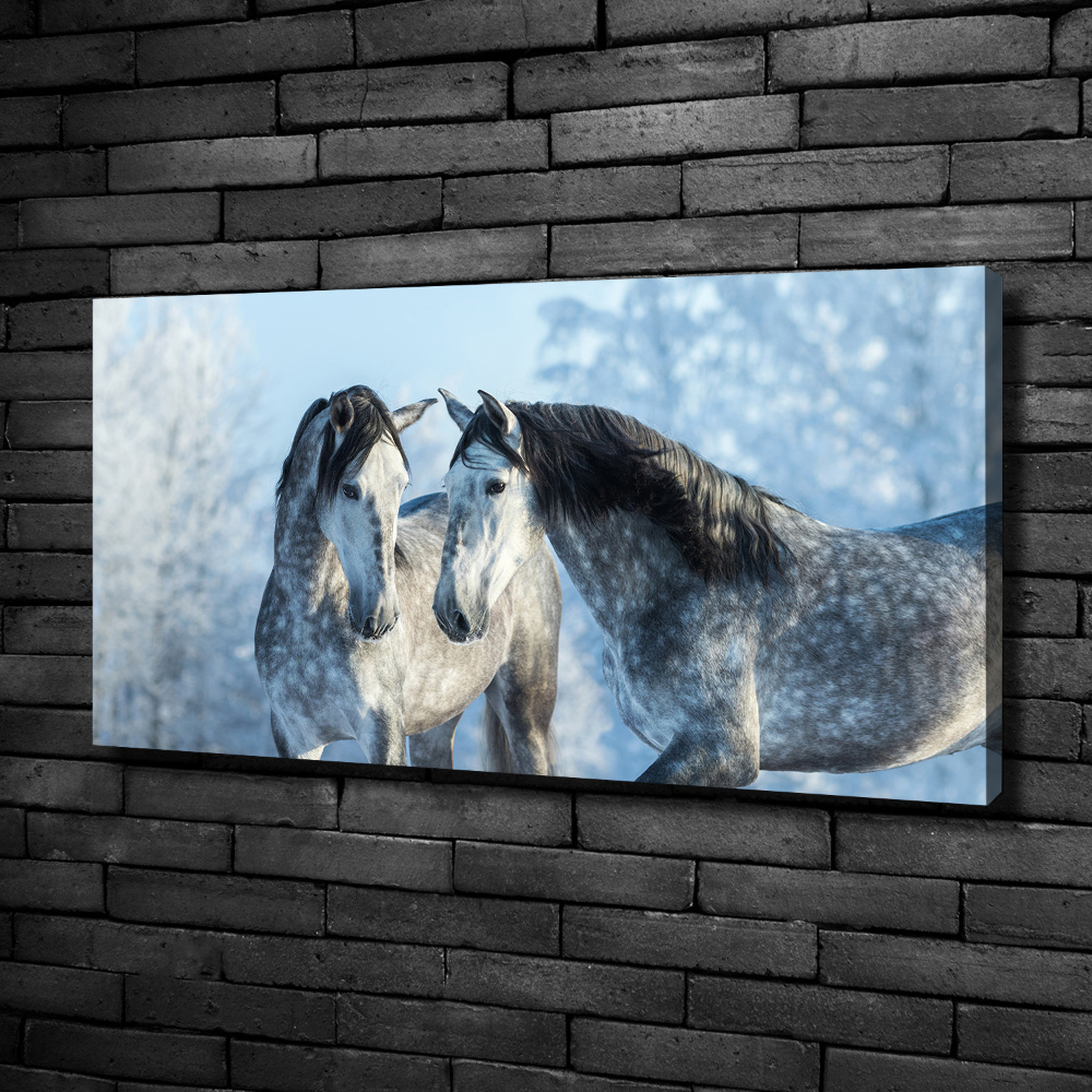 Tableau mural sur toile Chevaux gris en hiver