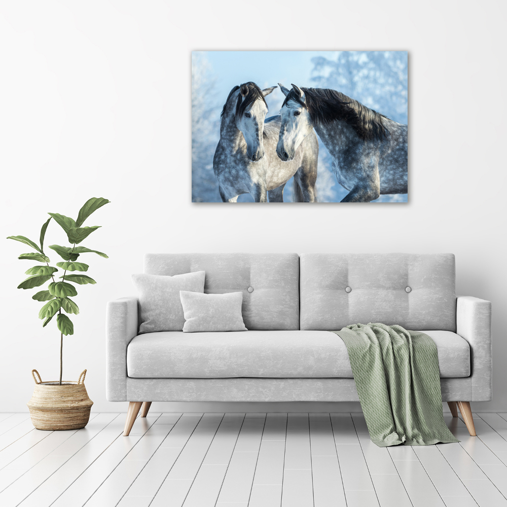 Tableau mural sur toile Chevaux gris en hiver