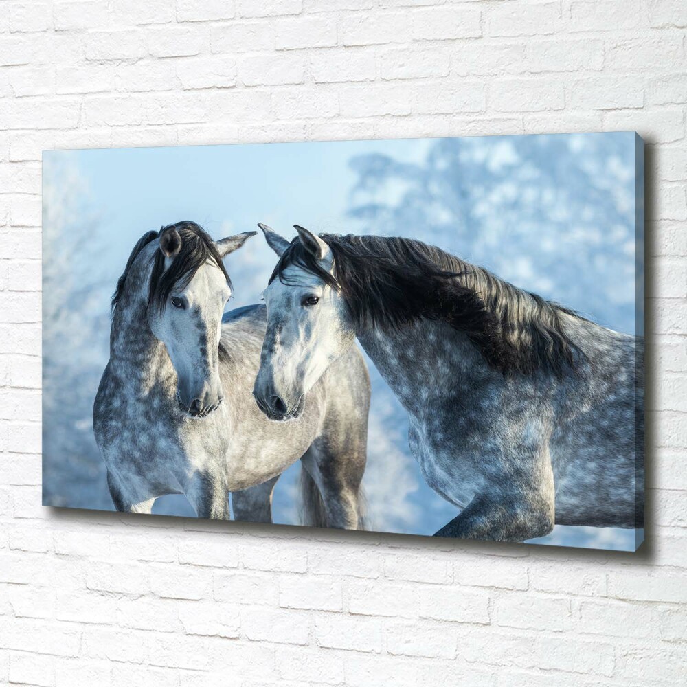 Tableau mural sur toile Chevaux gris en hiver