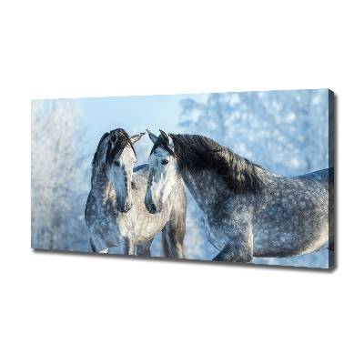 Tableau mural sur toile Chevaux gris en hiver