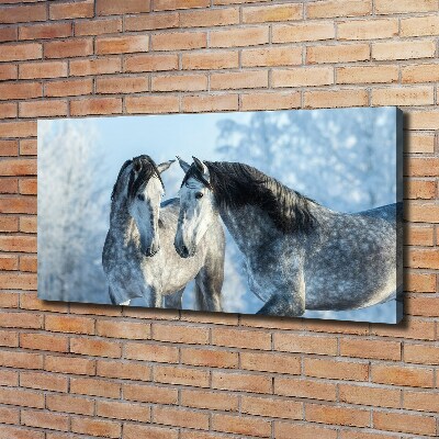 Tableau mural sur toile Chevaux gris en hiver