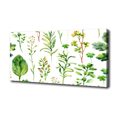 Tableau photo sur toile Herbes et mauvaises herbes