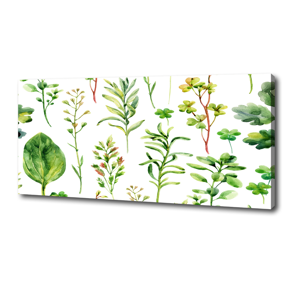 Tableau photo sur toile Herbes et mauvaises herbes