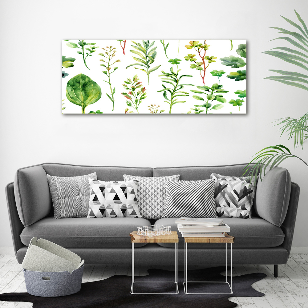 Tableau photo sur toile Herbes et mauvaises herbes