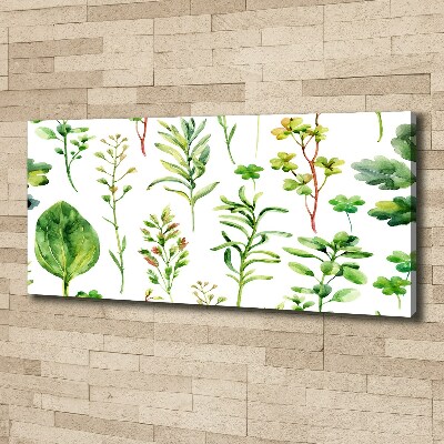 Tableau photo sur toile Herbes et mauvaises herbes