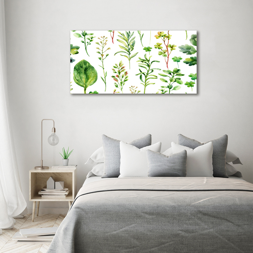 Tableau photo sur toile Herbes et mauvaises herbes