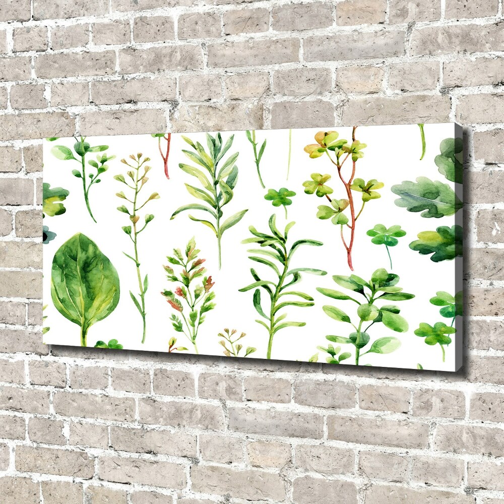 Tableau photo sur toile Herbes et mauvaises herbes