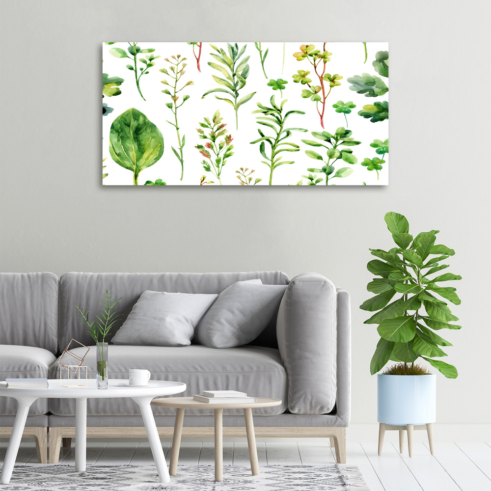 Tableau photo sur toile Herbes et mauvaises herbes