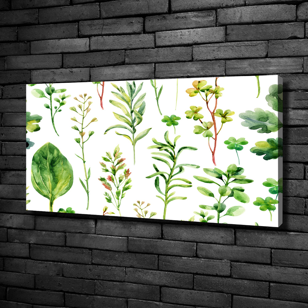 Tableau photo sur toile Herbes et mauvaises herbes