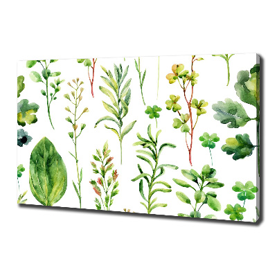 Tableau photo sur toile Herbes et mauvaises herbes