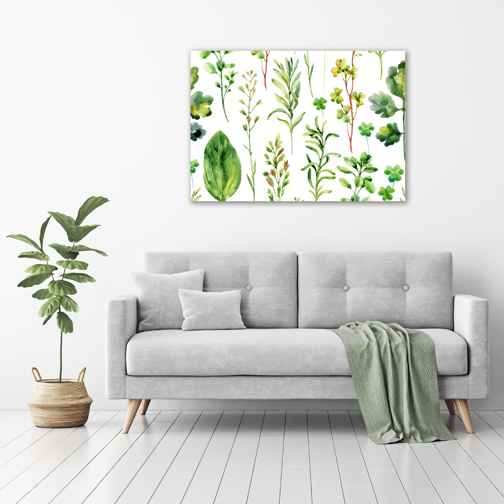 Tableau photo sur toile Herbes et mauvaises herbes