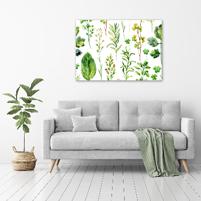 Tableau photo sur toile Herbes et mauvaises herbes