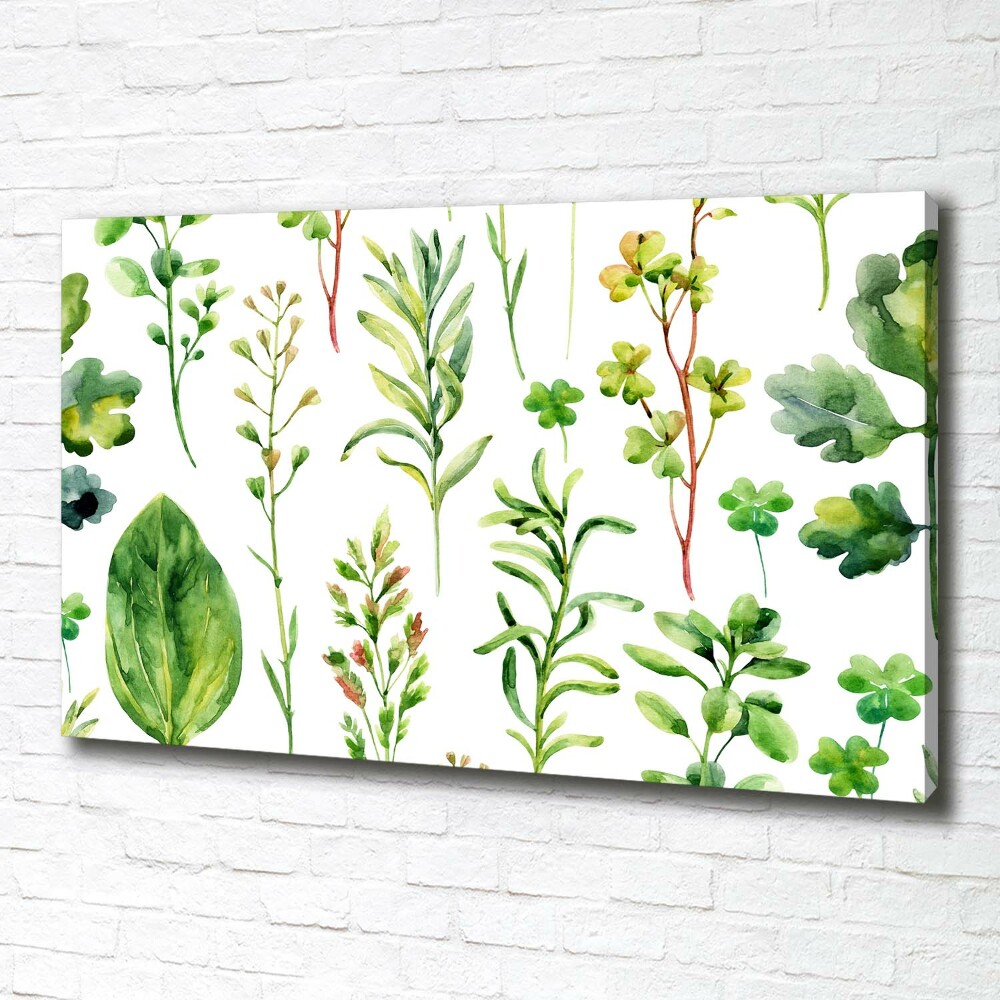 Tableau photo sur toile Herbes et mauvaises herbes