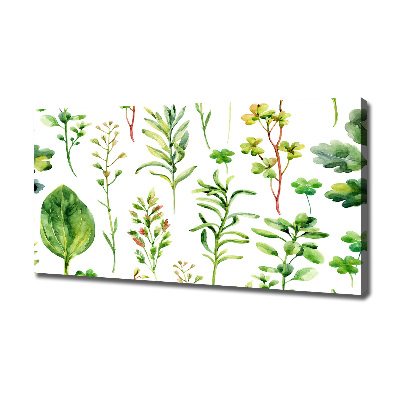 Tableau photo sur toile Herbes et mauvaises herbes