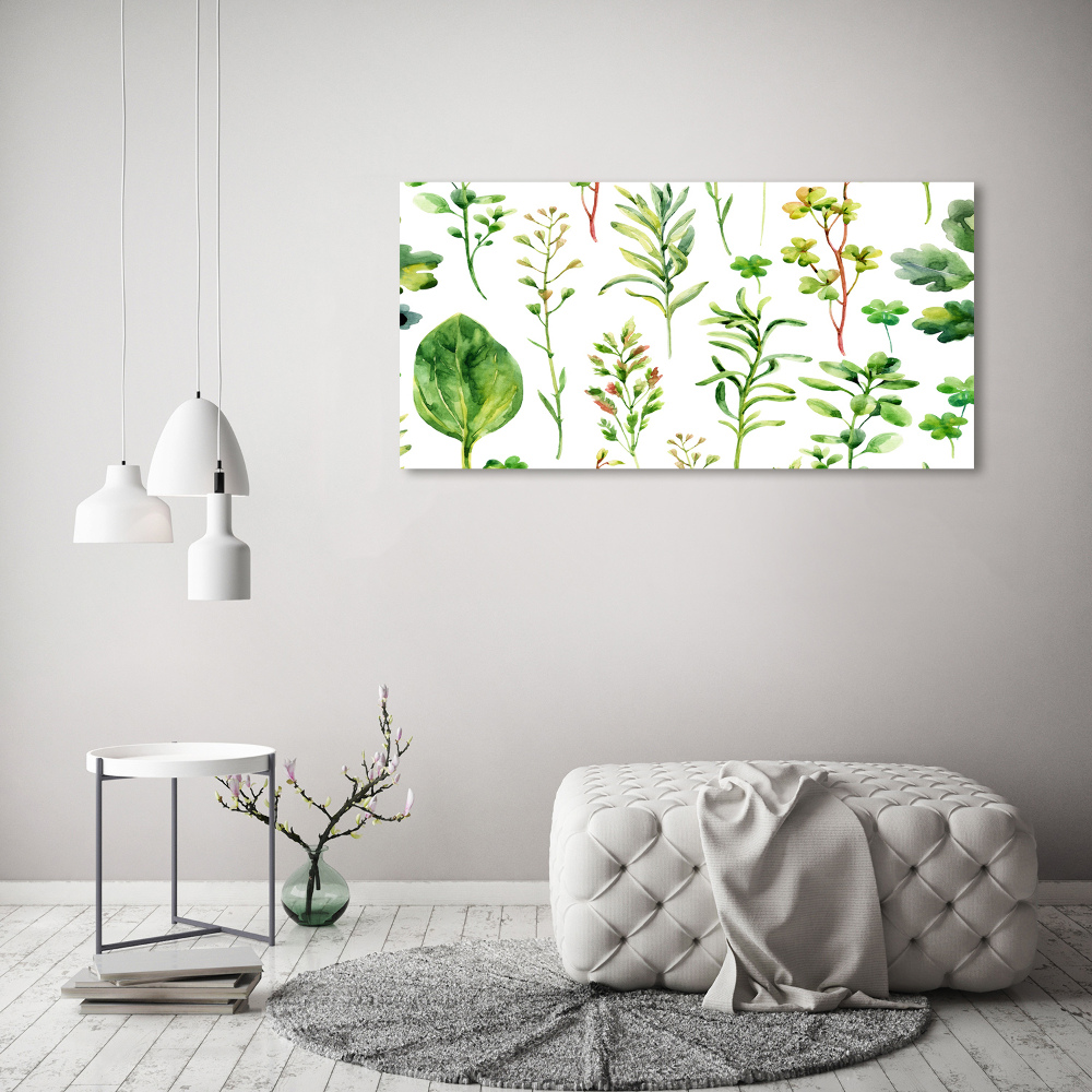 Tableau photo sur toile Herbes et mauvaises herbes