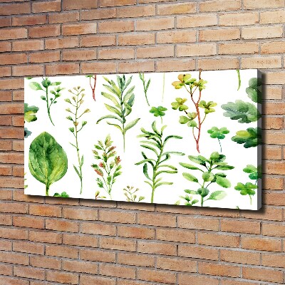 Tableau photo sur toile Herbes et mauvaises herbes