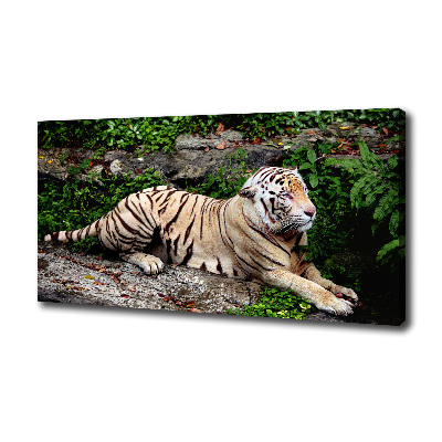 Tableau sur toile Tigre sur un rocher