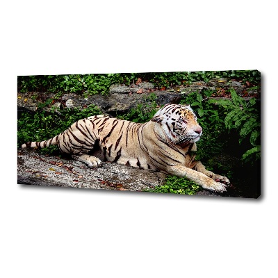 Tableau sur toile Tigre sur un rocher