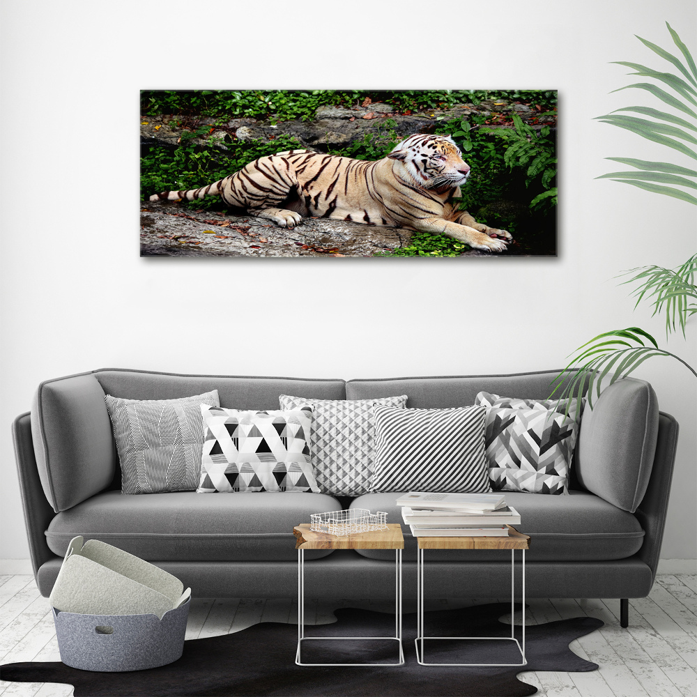 Tableau sur toile Tigre sur un rocher