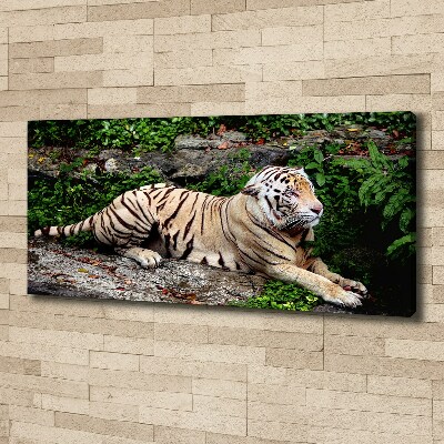 Tableau sur toile Tigre sur un rocher