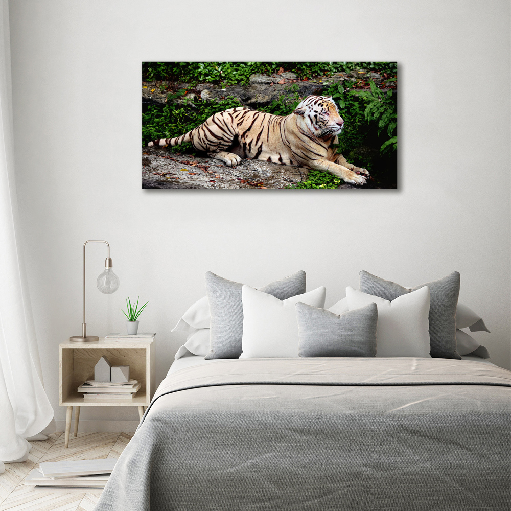 Tableau sur toile Tigre sur un rocher