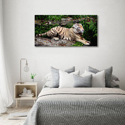 Tableau sur toile Tigre sur un rocher