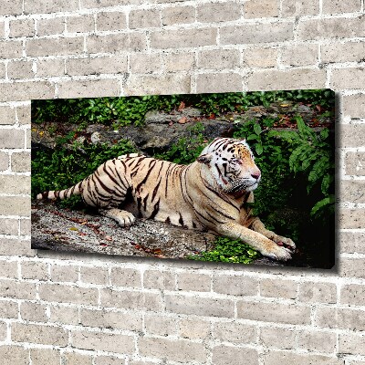 Tableau sur toile Tigre sur un rocher