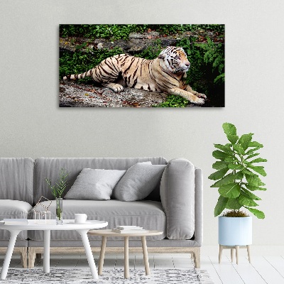 Tableau sur toile Tigre sur un rocher