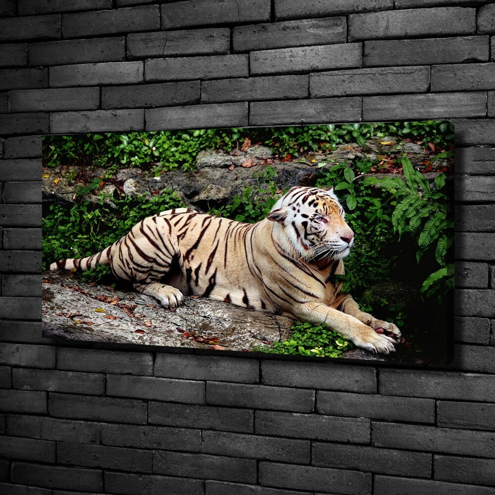 Tableau sur toile Tigre sur un rocher