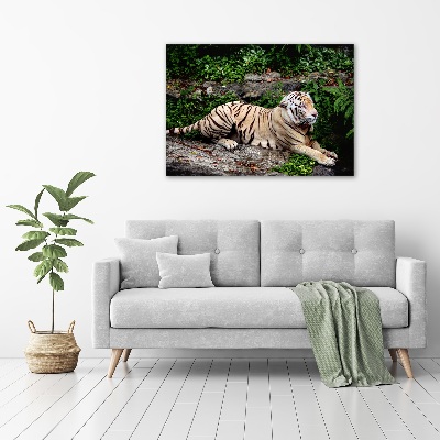 Tableau sur toile Tigre sur un rocher