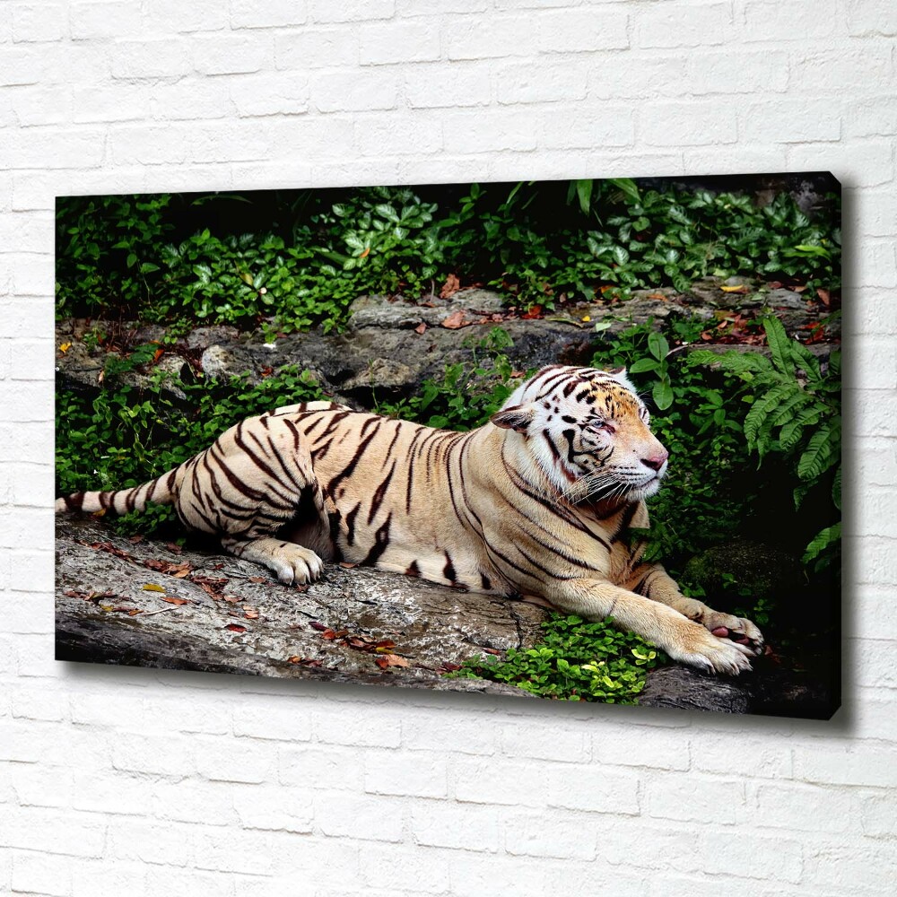 Tableau sur toile Tigre sur un rocher