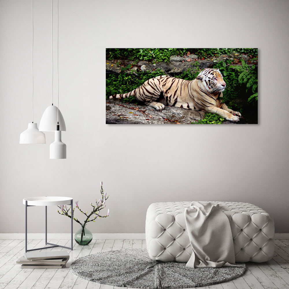 Tableau sur toile Tigre sur un rocher