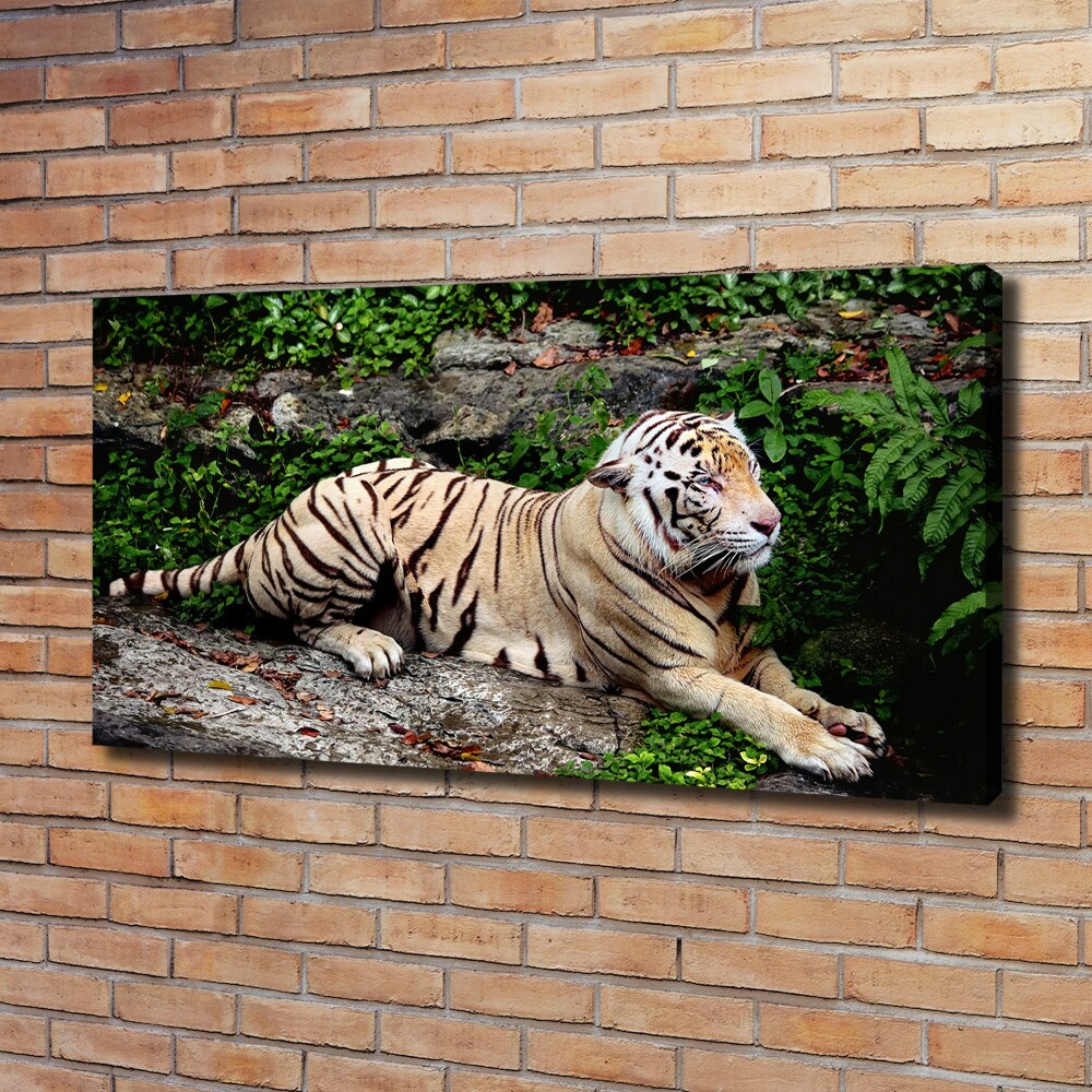 Tableau sur toile Tigre sur un rocher