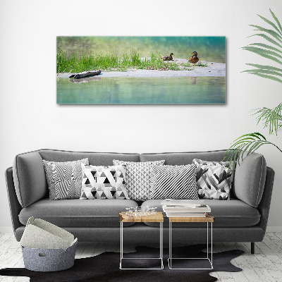 Tableau sur toile Canards au bord de l'eau