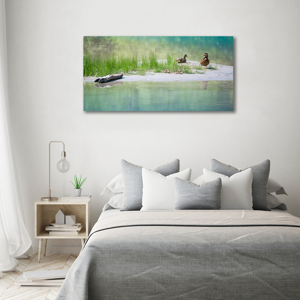 Tableau sur toile Canards au bord de l'eau