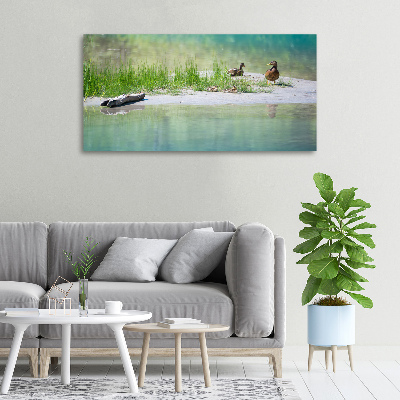 Tableau sur toile Canards au bord de l'eau