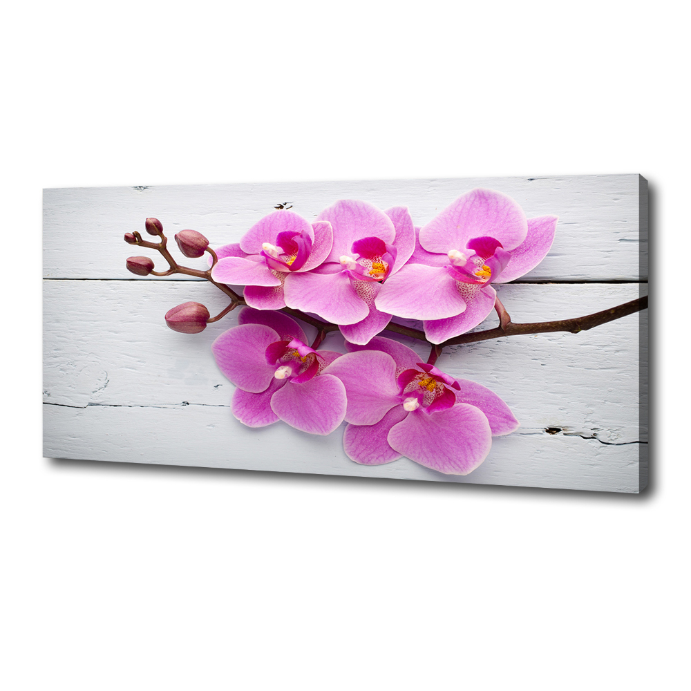 Tableau sur toile Orchidée sur bois