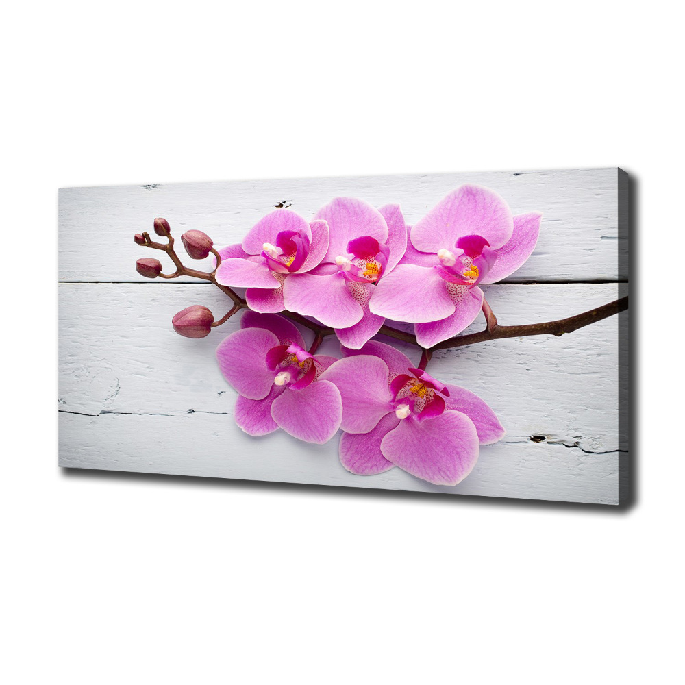 Tableau sur toile Orchidée sur bois