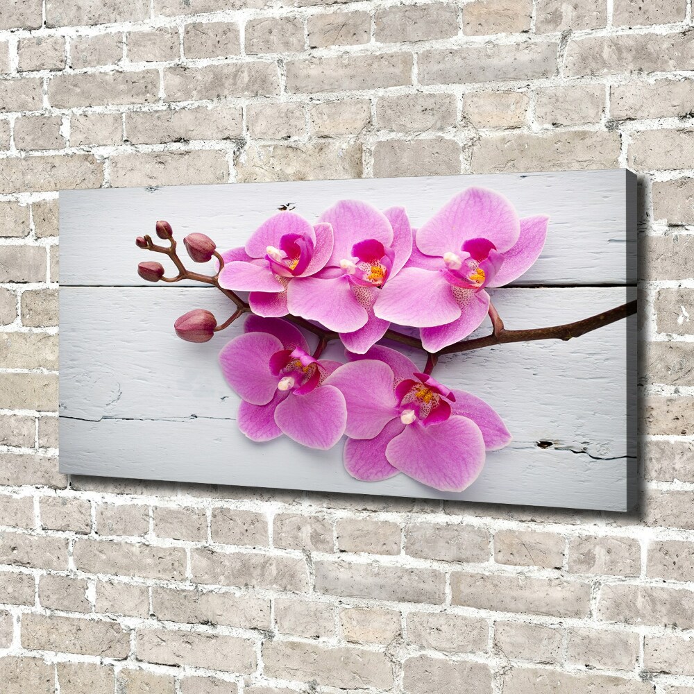 Tableau sur toile Orchidée sur bois