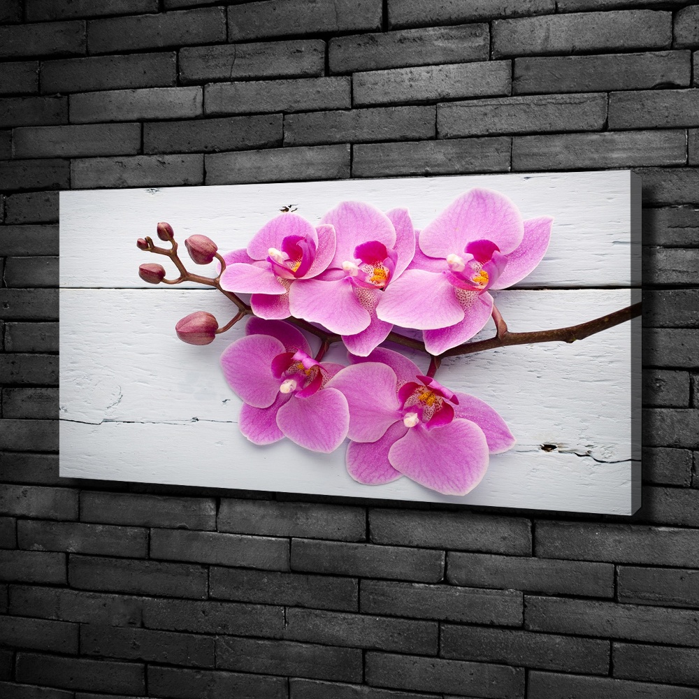 Tableau sur toile Orchidée sur bois