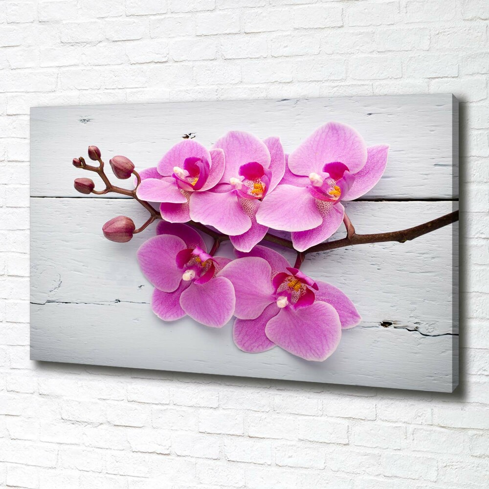 Tableau sur toile Orchidée sur bois