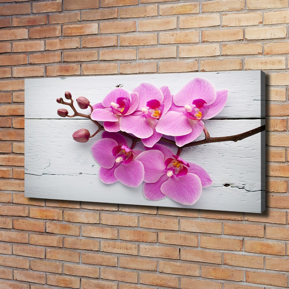 Tableau sur toile Orchidée sur bois