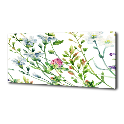 Tableau sur toile Fleurs sauvages