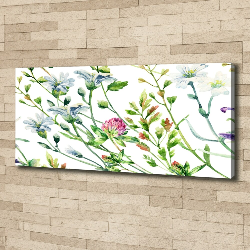 Tableau sur toile Fleurs sauvages